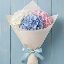 Букет цветов из:  Гортензия в Туртас