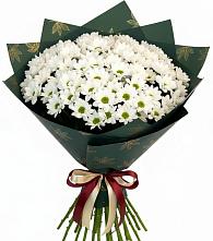 Букет цветов из:  Хризантемы в Туртас