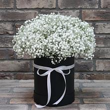 Цветочная композиция из Гипсофила в шляпной коробке в Туртас