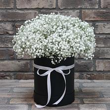 Цветочная композиция из Гипсофила в шляпной коробке в Туртас