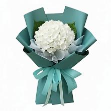 Букет цветов из:  Гортензия в Туртас